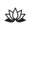 icon2