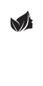 icon3